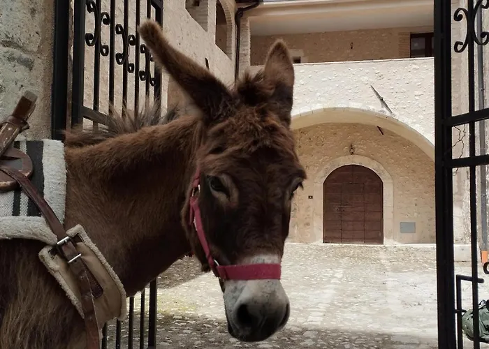 Abruzzomio Alloggi Agrituristici Apartmán Goriano Valli